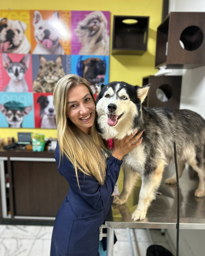 galeria pet 1