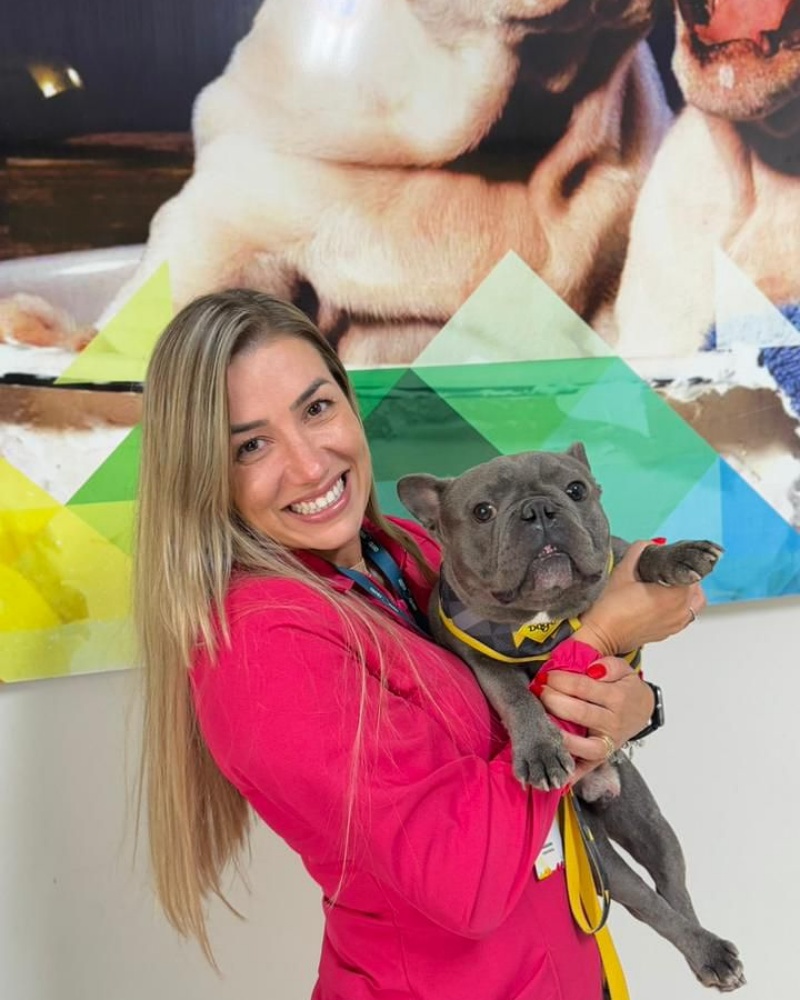 galeria 19